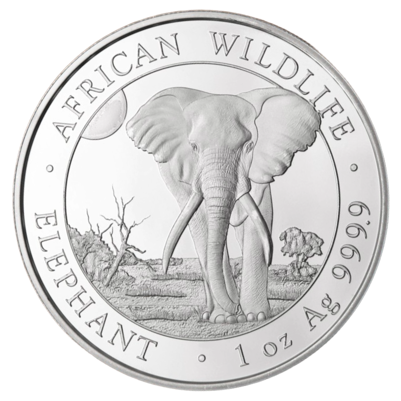 COIN - SOMALI REPUBLIC 1oz SILVER COIN