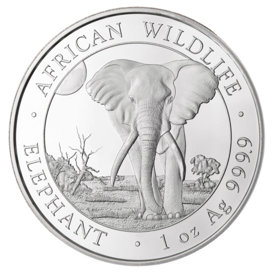 COIN - SOMALI REPUBLIC 1oz SILVER COIN